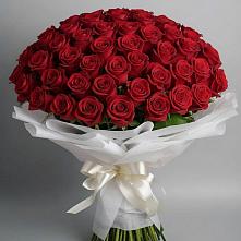 Букет 101 Красная роза Блэк Мэджик в Летней Ставке