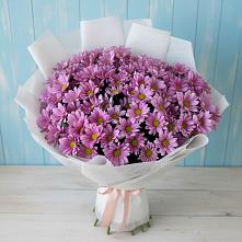Букет цветов из:  Хризантемы в Летней Ставке