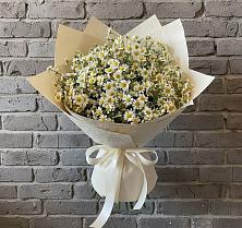 Букет цветов из:  Ромашки в Летней Ставке
