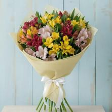Букет цветов из:  Альстромерии в Летней Ставке