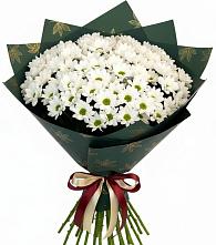 Букет цветов из:  Хризантемы в Летней Ставке