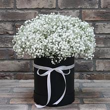 Цветочная композиция из Гипсофила в шляпной коробке в Летней Ставке