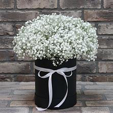 Цветочная композиция из Гипсофила в шляпной коробке в Летней Ставке